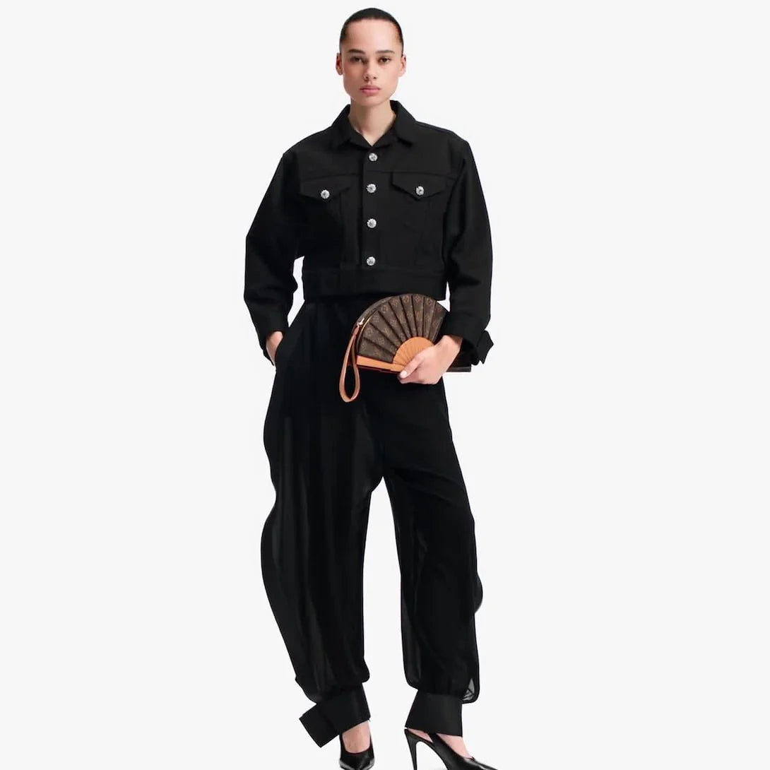 LOUIS Vuitton FAN