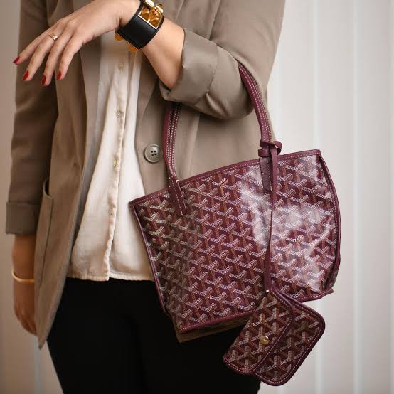 GOYARD Anjou Mini Bag (Reversible Tote)