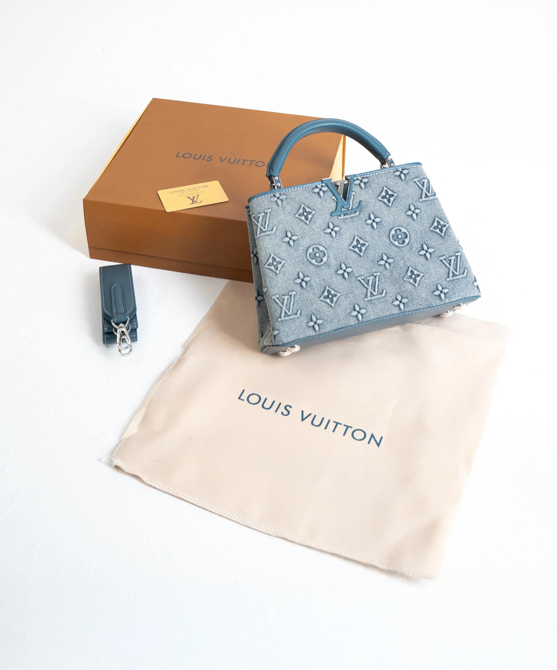 Louis Vuitton - Blue