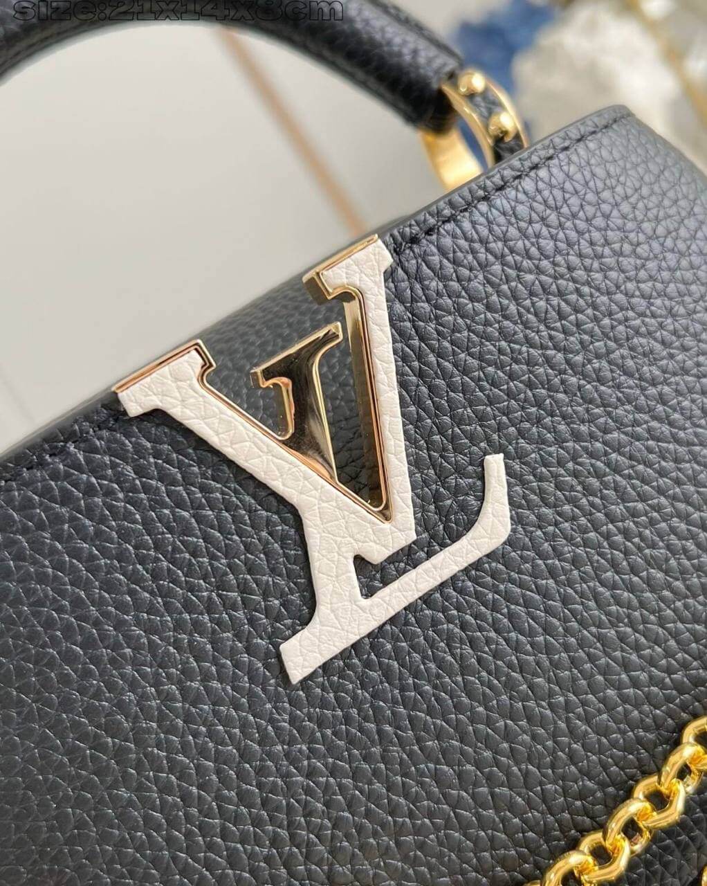 Louis Vuitton Baga