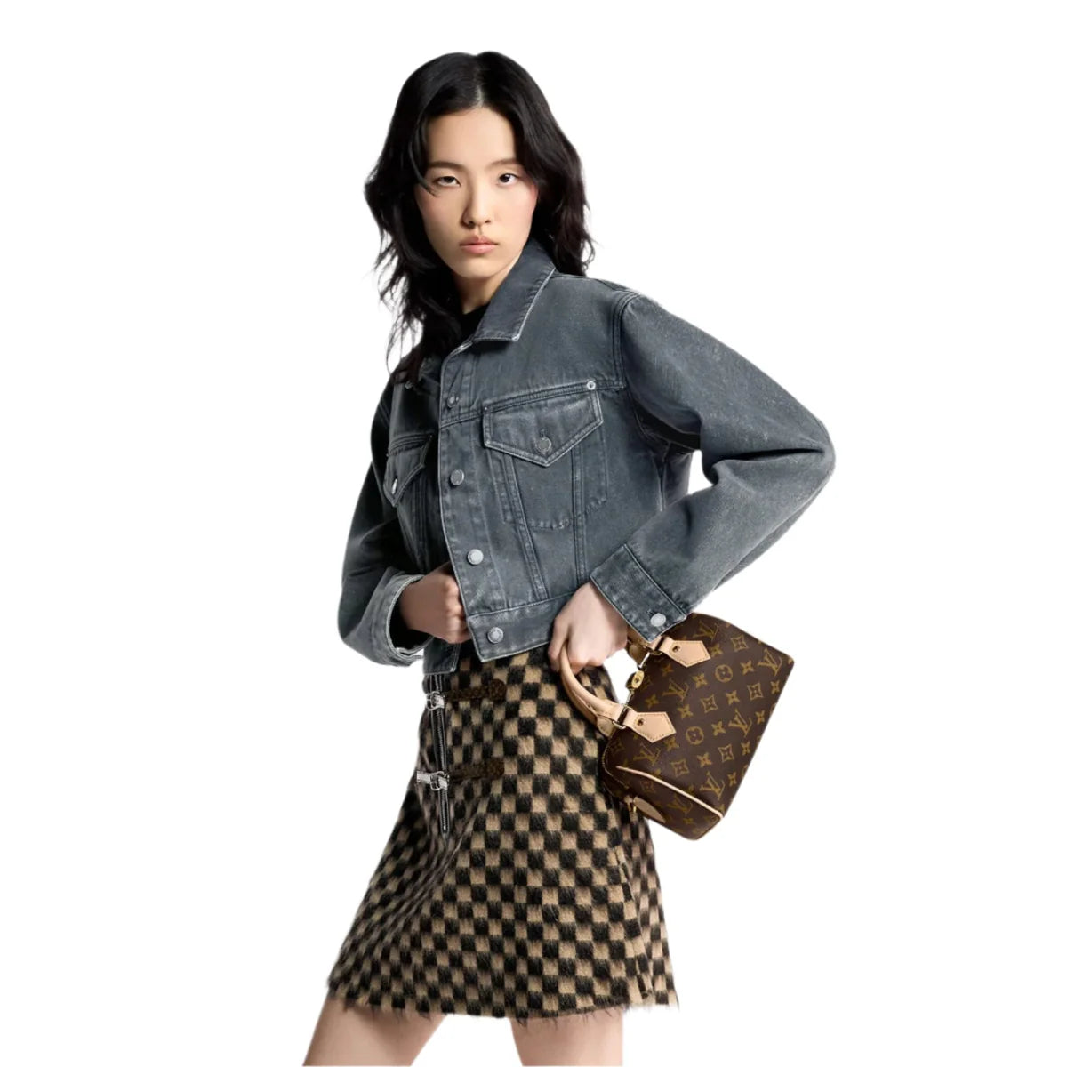 LV Monogram Speedy Bag 20